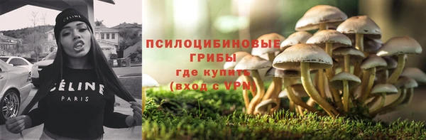 твердый Кулебаки