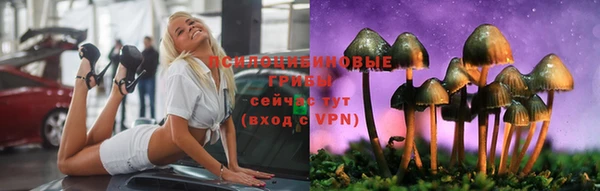 стаф Фёдоровский