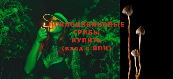 ПСИЛОЦИБИНОВЫЕ ГРИБЫ Краснотурьинск