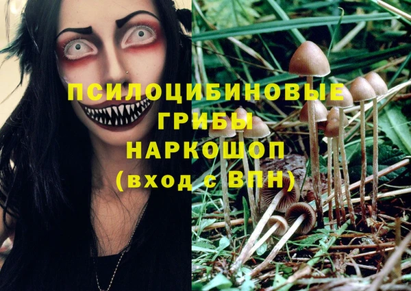 ПСИЛОЦИБИНОВЫЕ ГРИБЫ Краснотурьинск
