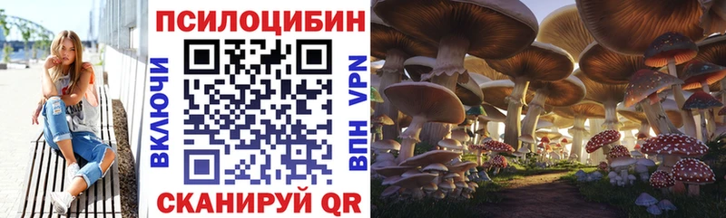 Галлюциногенные грибы GOLDEN TEACHER  Подольск 
